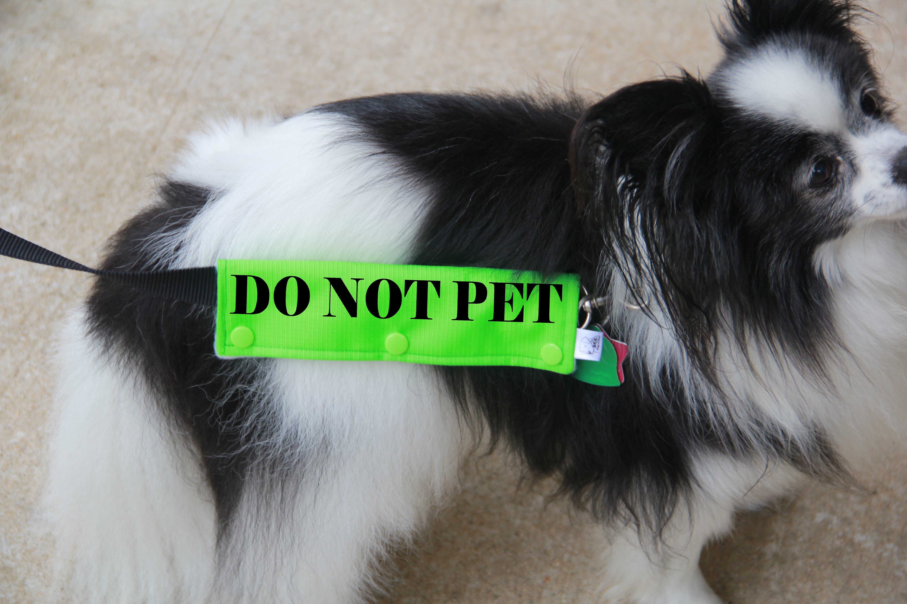 Dog Leash Sleeve DO NOT PET Leash Wrap 4 Size Options Do Etsy Hong Kong