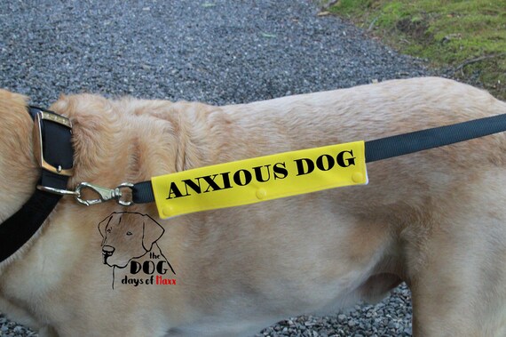 anxious dog collar