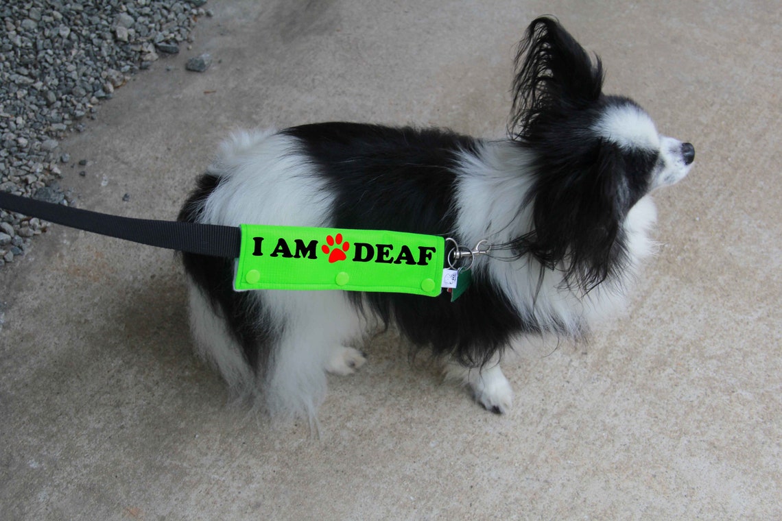 Dog Leash Wrap Leash Sleeve I'M Deaf Mini Size 9 Color Etsy