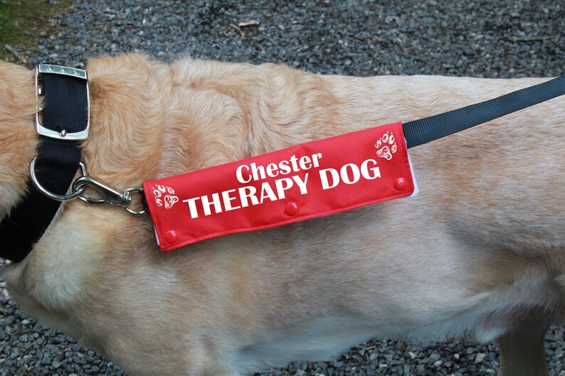 Leash sleeve or collar wrap Therapy Dog Leash wrap Etsy