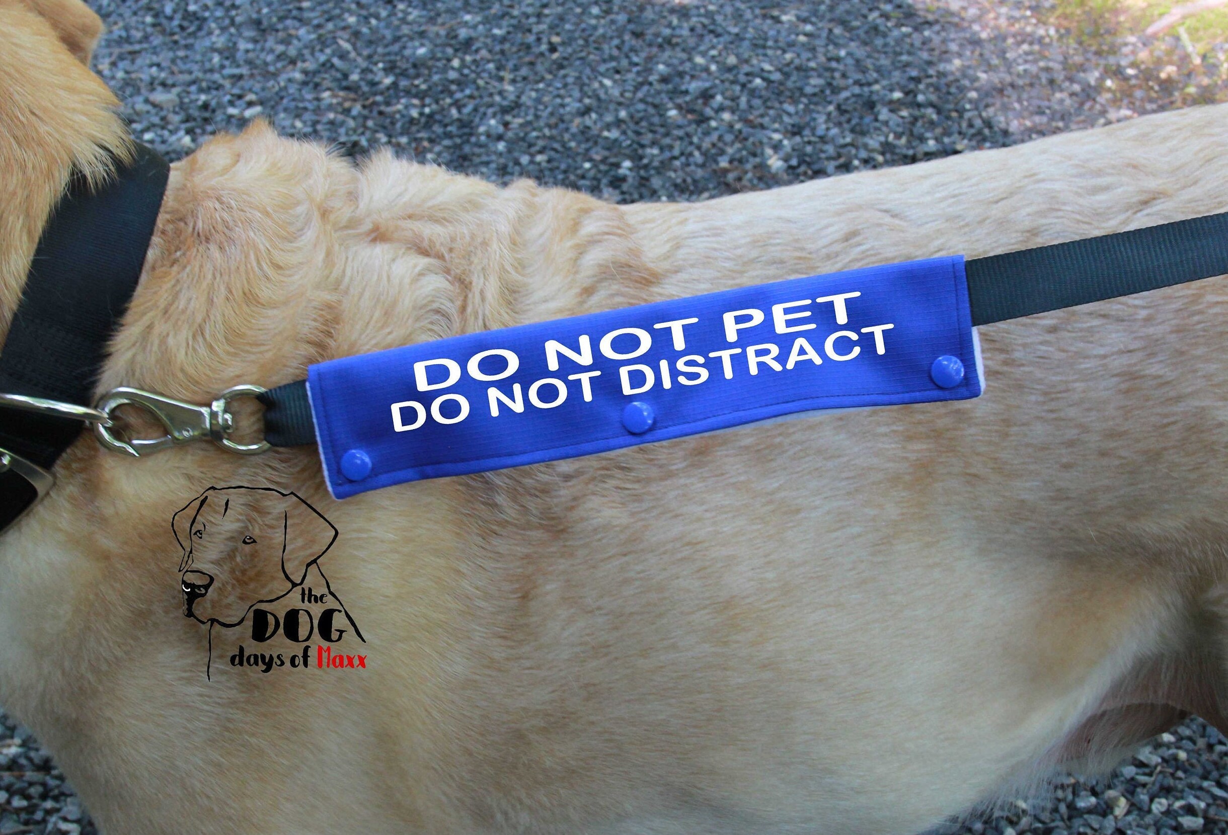 Leash wrap DO NOT PET leash Sleeve Slim size Fits 1 Etsy