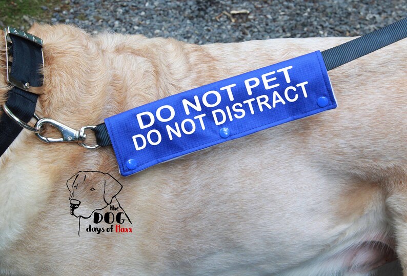 Dog Leash Wrap Leash sleeve Do not pet Do not Distract Etsy