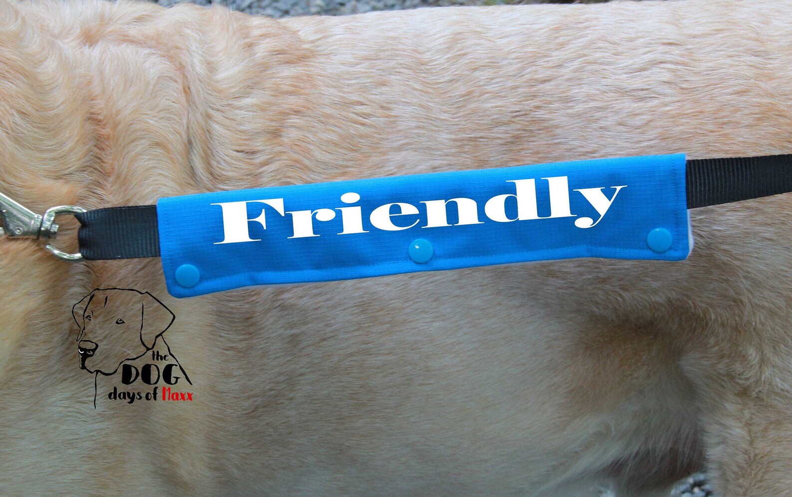 Dog Leash Sleeve Friendly leash wrap Slim Size Fits 1 Etsy