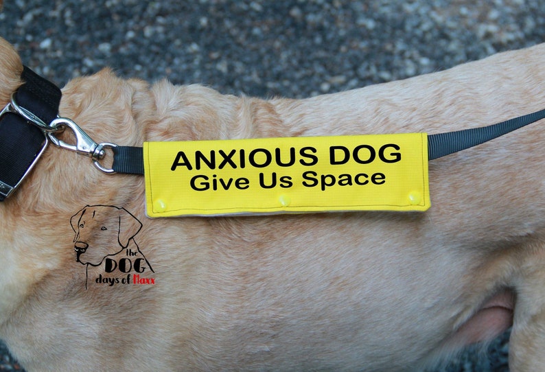 Anxious Dog Leash Wrap Leash sleeve Classic Size Leash Etsy