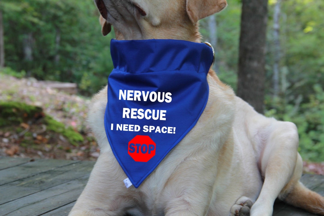 Nervous Rescue STOP Dog Bandana, Over the Collar Bandana, Rescue Dog