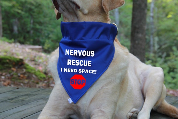Nervous Rescue STOP Dog Bandana Over the Collar Bandana Rescue
