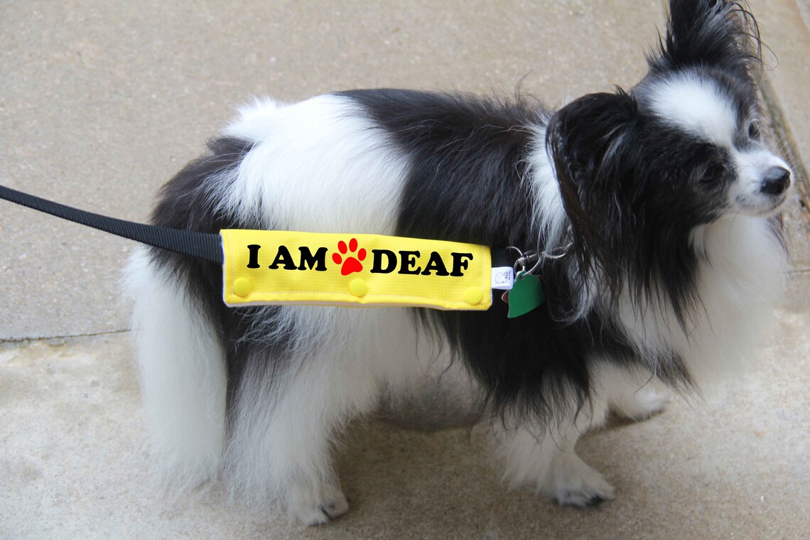 Dog Leash Wrap Leash Sleeve I'M Deaf Mini Size 9 Color Etsy