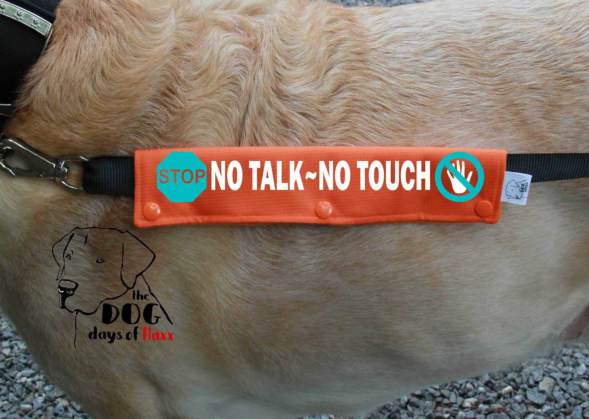 Dog Leash Sleeve Slim Size Leash wrap No Talk No Touch Fits Etsy