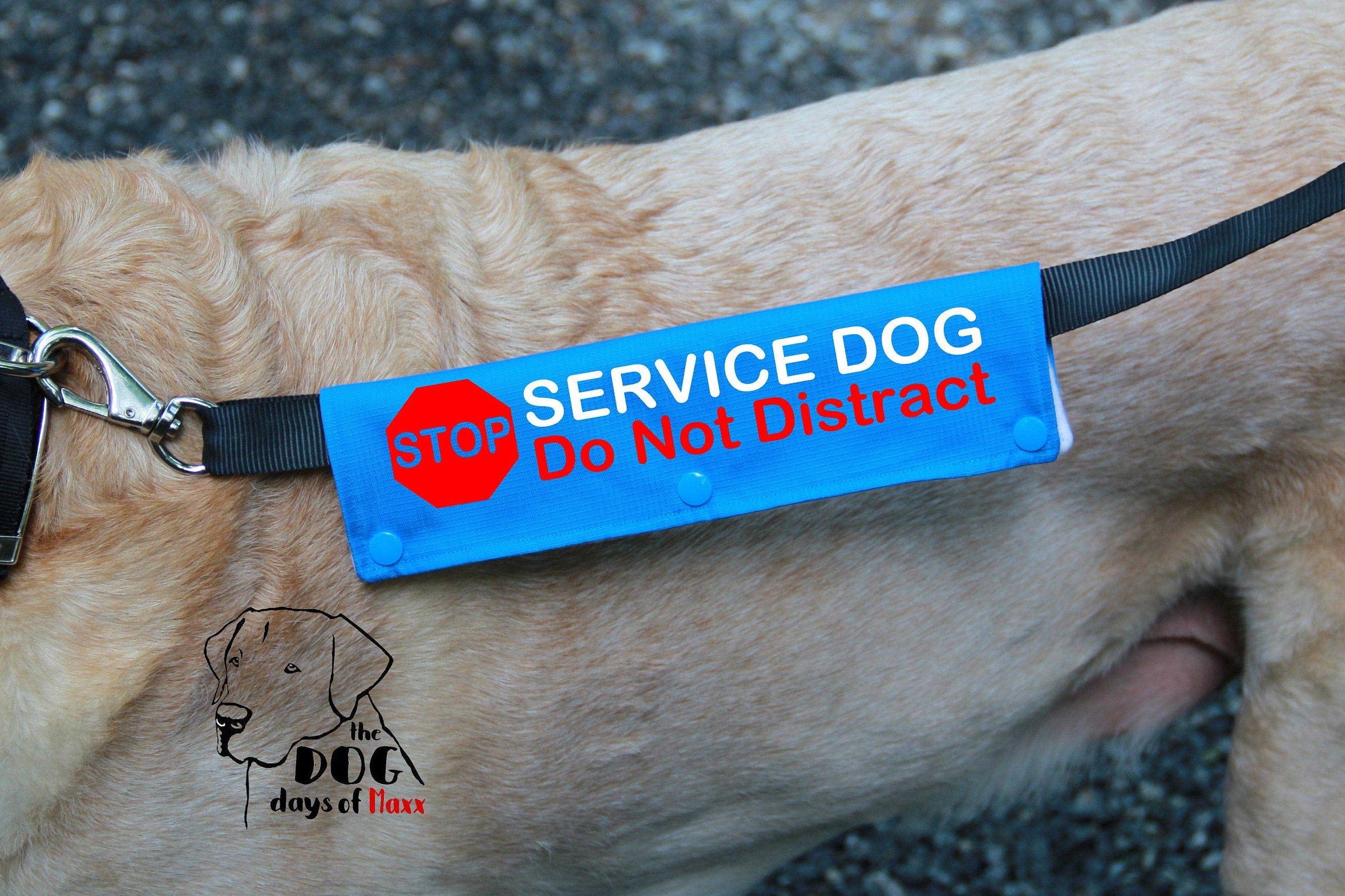 Service Dog Leash Wrap Leash Sleeve Classic size 3 snap | Etsy