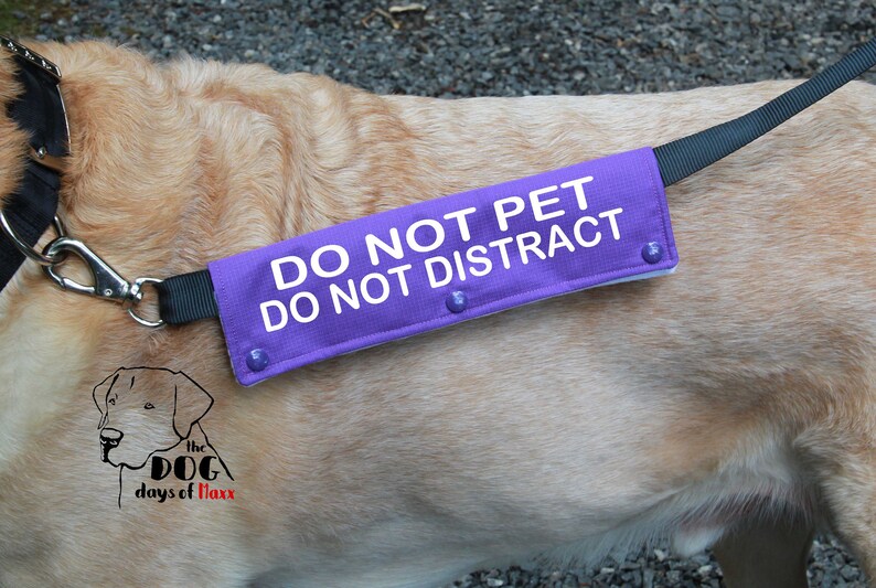Dog Leash Wrap Leash sleeve Do not pet Do not Distract Etsy