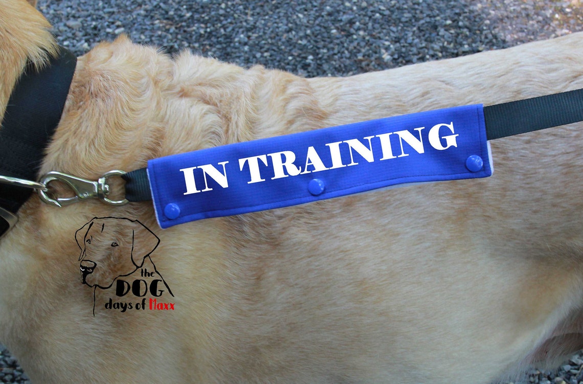 Leash wrap In Training Leash Sleeve Slim size Fits 1 Etsy