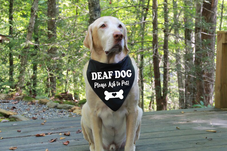Deaf Dog Bandana Over the Collar Bandana Deaf Dog Bandanas Etsy