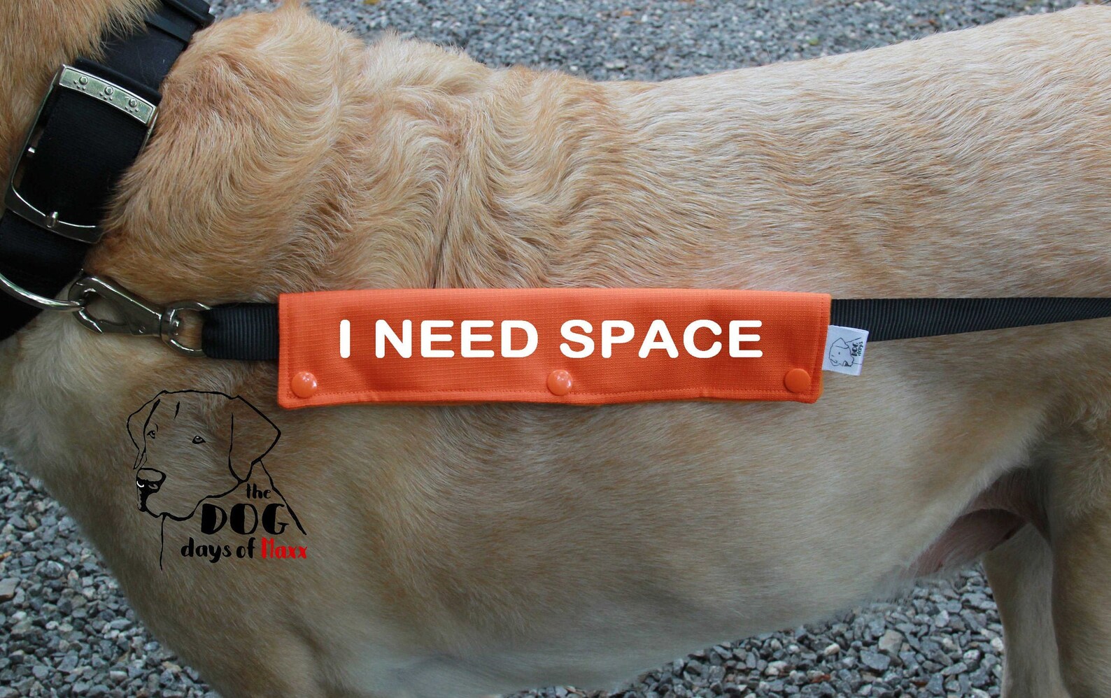 Dog Leash Sleeve I NEED SPACE leash wrap Slim Size 8 color Etsy