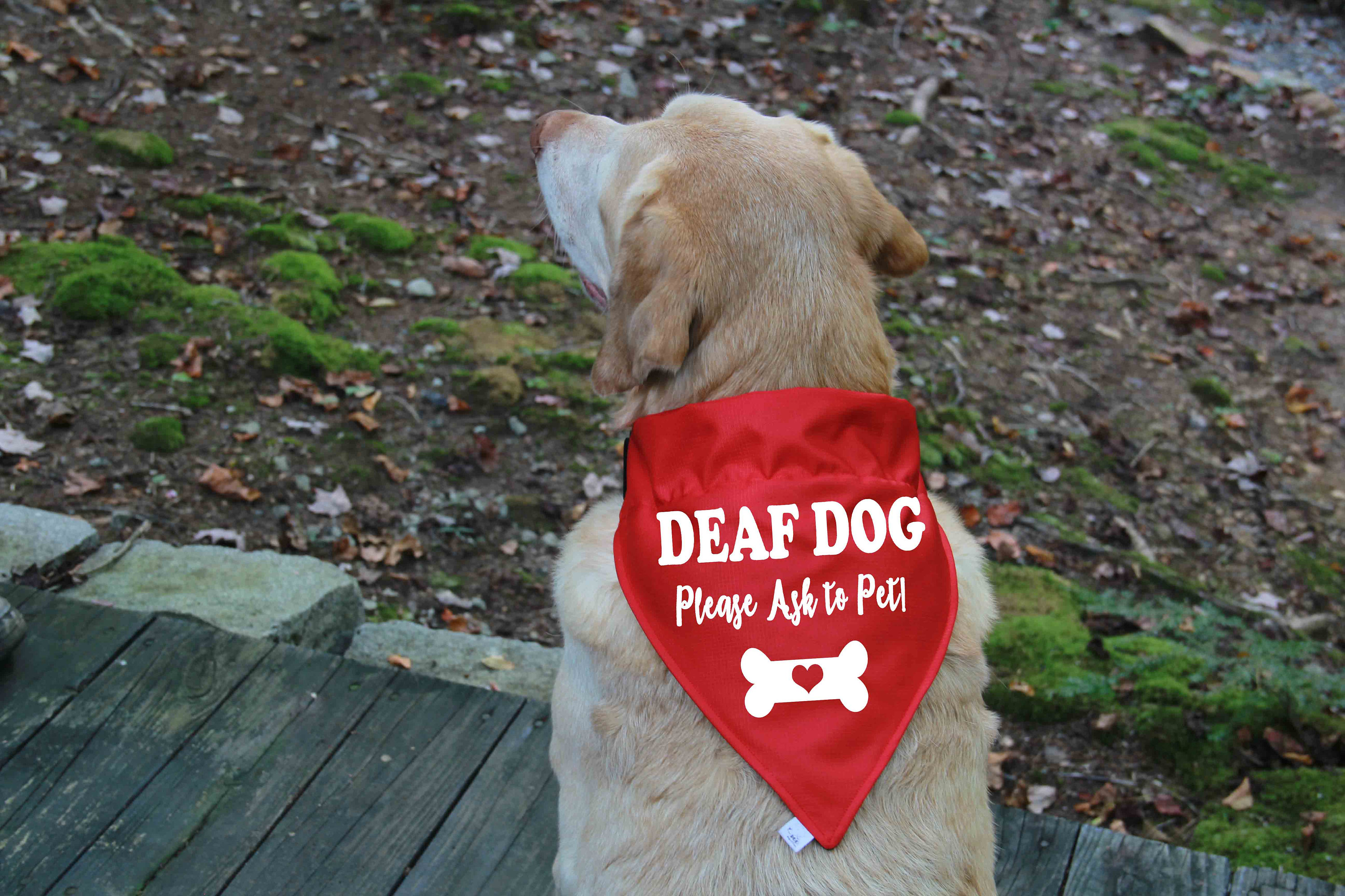 I am outlet deaf dog bandana