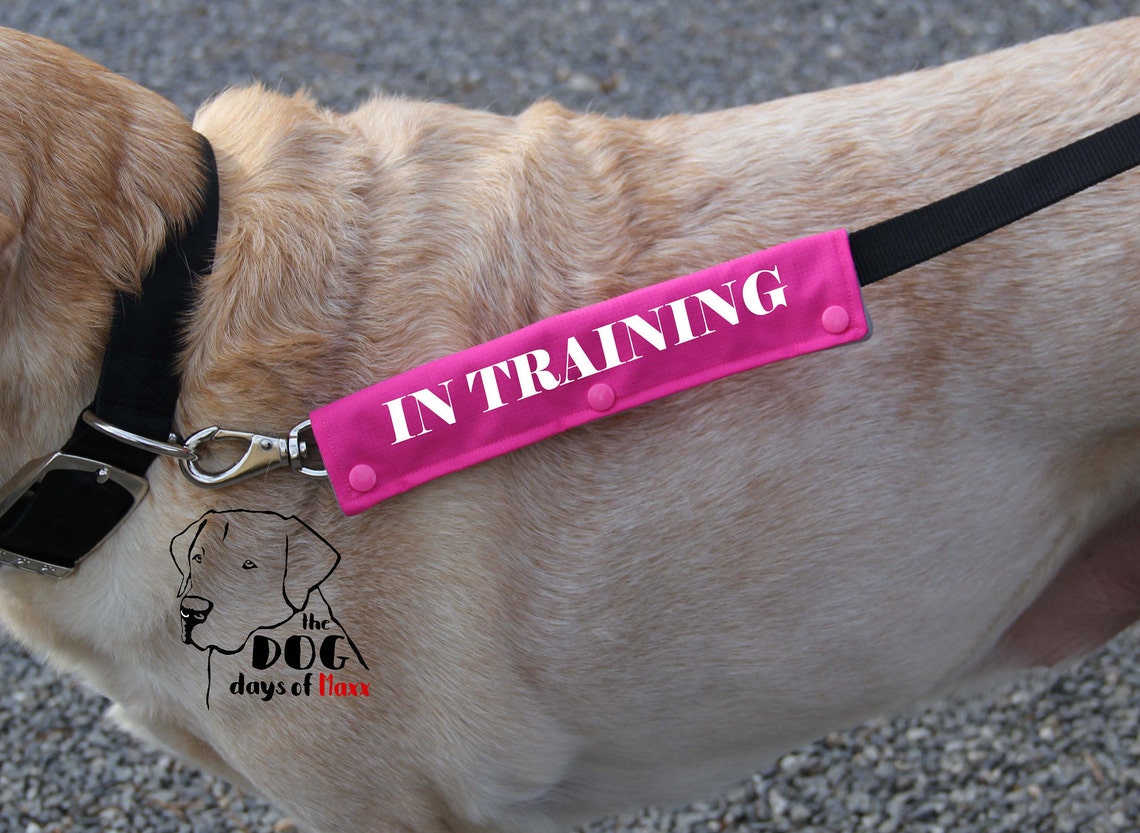 Leash wrap In Training Leash Sleeve Slim size Fits 1 Etsy