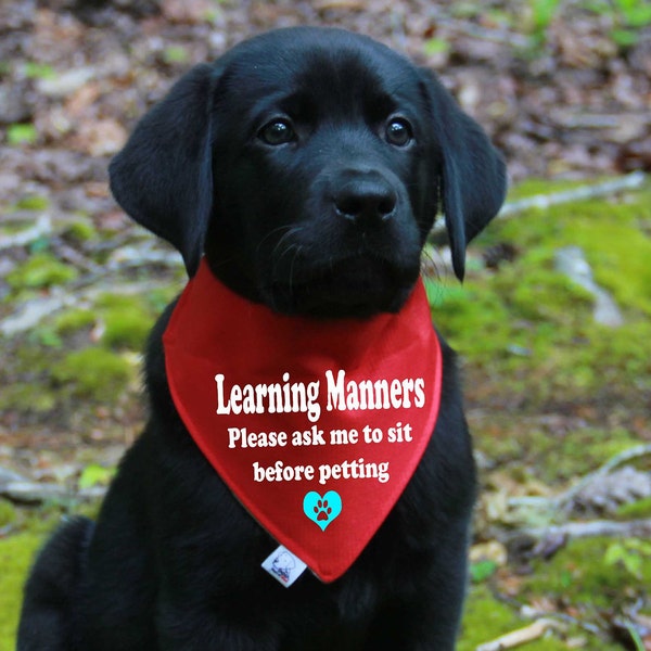 Puppy Learning Manners Bandana, Over the Collar Bandanas for Puppies, Xsmall Bandanas for Puppy, puppy in Training Gear, toy dogs