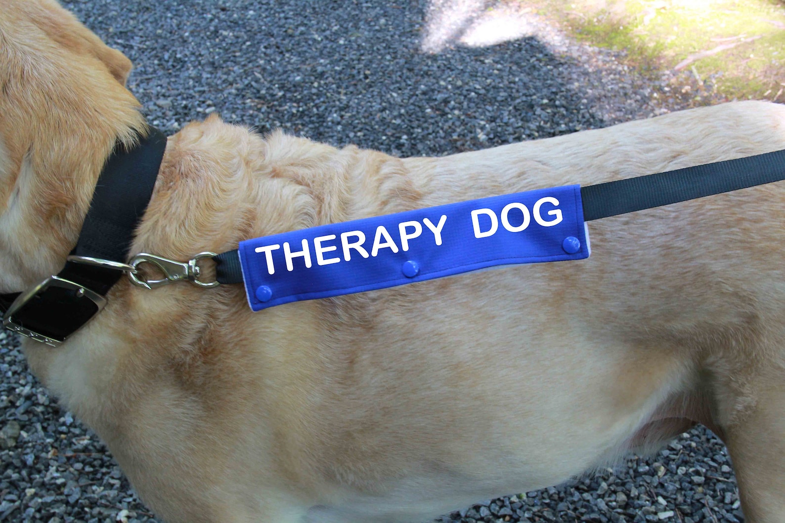 Dog Leash Sleeve THERAPY DOG leash wrap Therapy Dog Gear Etsy