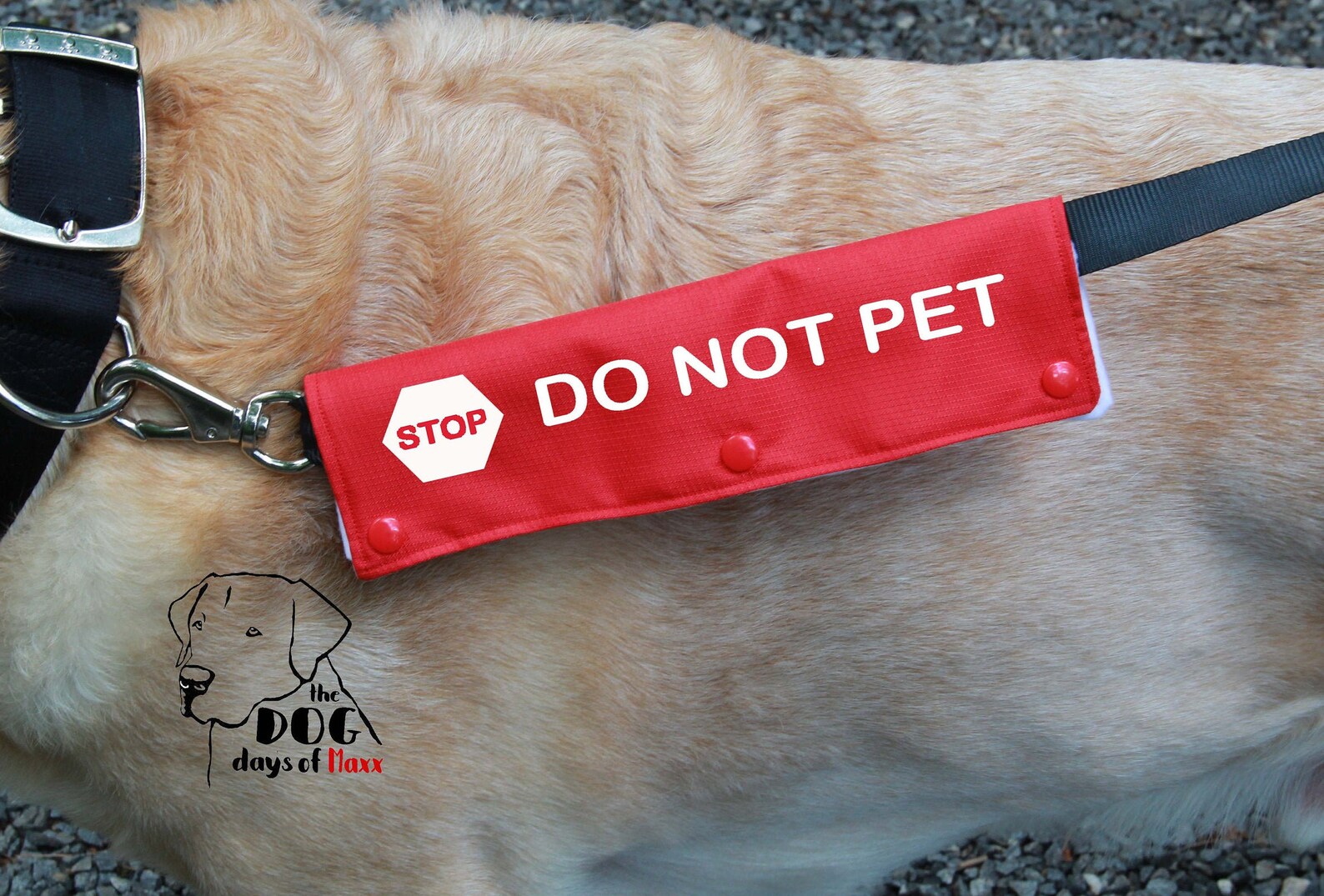 Leash Wrap Leash Sleeve DO NOT PET Service Dog Gear Working Etsy