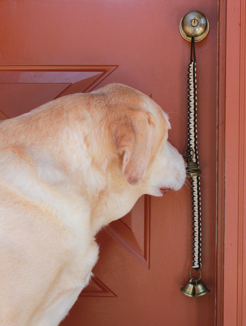 Dog Potty Training Door bells Potty Door Bell Puppy Training Etsy