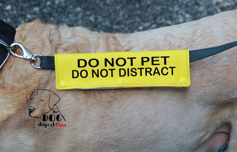 Dog Leash Wrap Leash Sleeve DO NOT PET Do Not Distract Dog Etsy