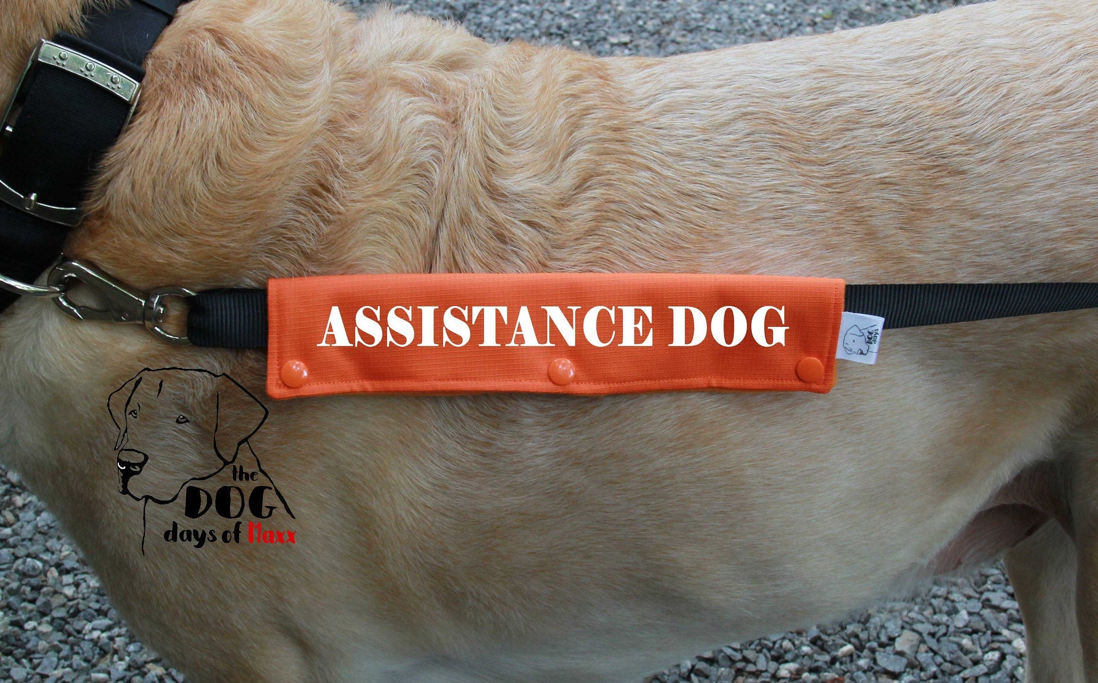 Dog Leash Sleeve ASSISTANCE DOG leash wrap Slim Size Fits Etsy