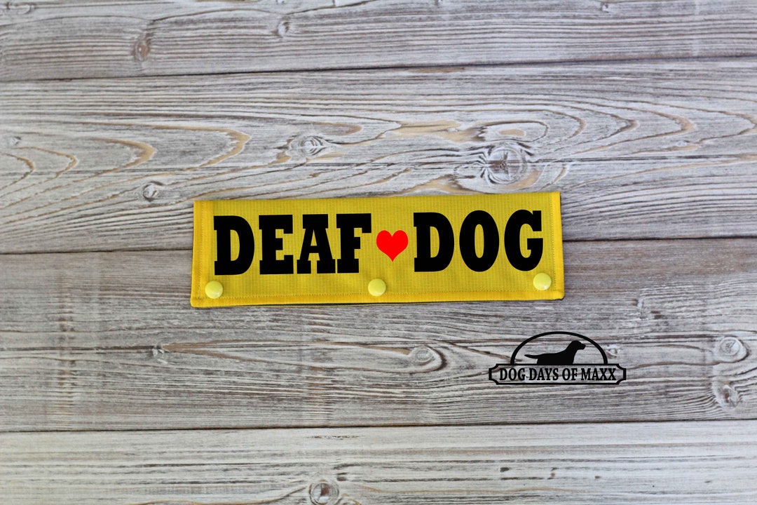 DEAF DOG Leash Wrap, Dog Leash Sleeve, Leash Wrap, Deaf Dog Gear, 3