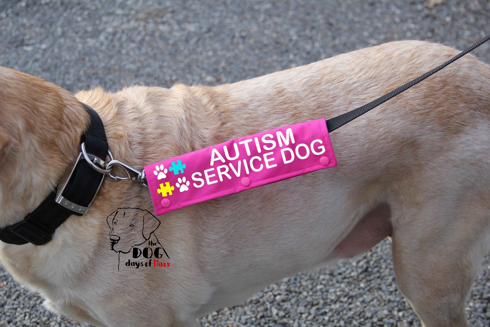 Autism Service Dog Leash Wrap Autism Service Dog Leash Etsy