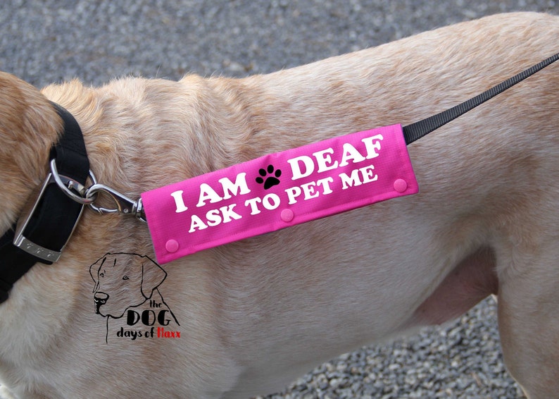 Leash sleeve or collar wrap Deaf Dog Leash wrap Classic Etsy