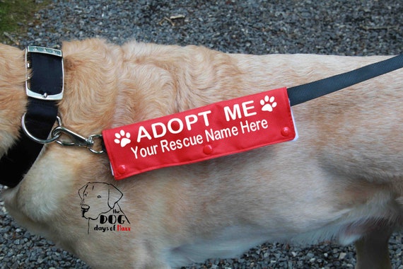 Adopt Me Leash Sleevecustom Rescue Adopt Me Leash Wrap Etsy - horse roblox adopt me pets pictures