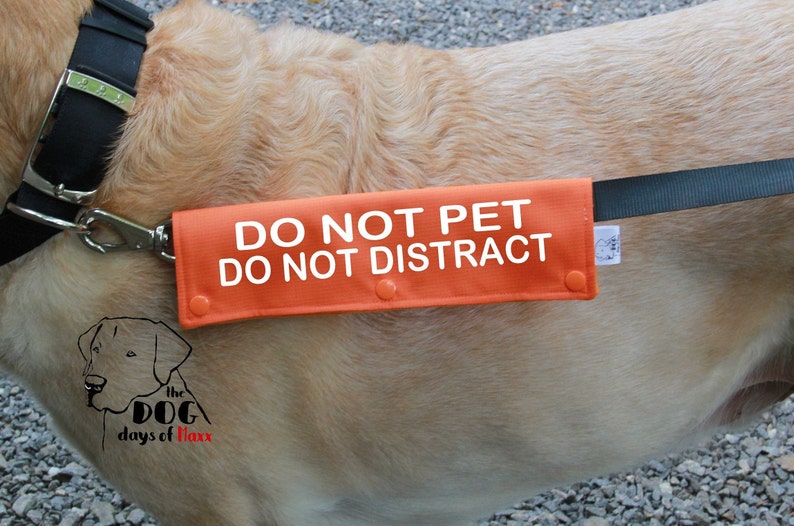 Dog Leash Wrap Leash Sleeve DO NOT PET Do Not Distract Dog Etsy