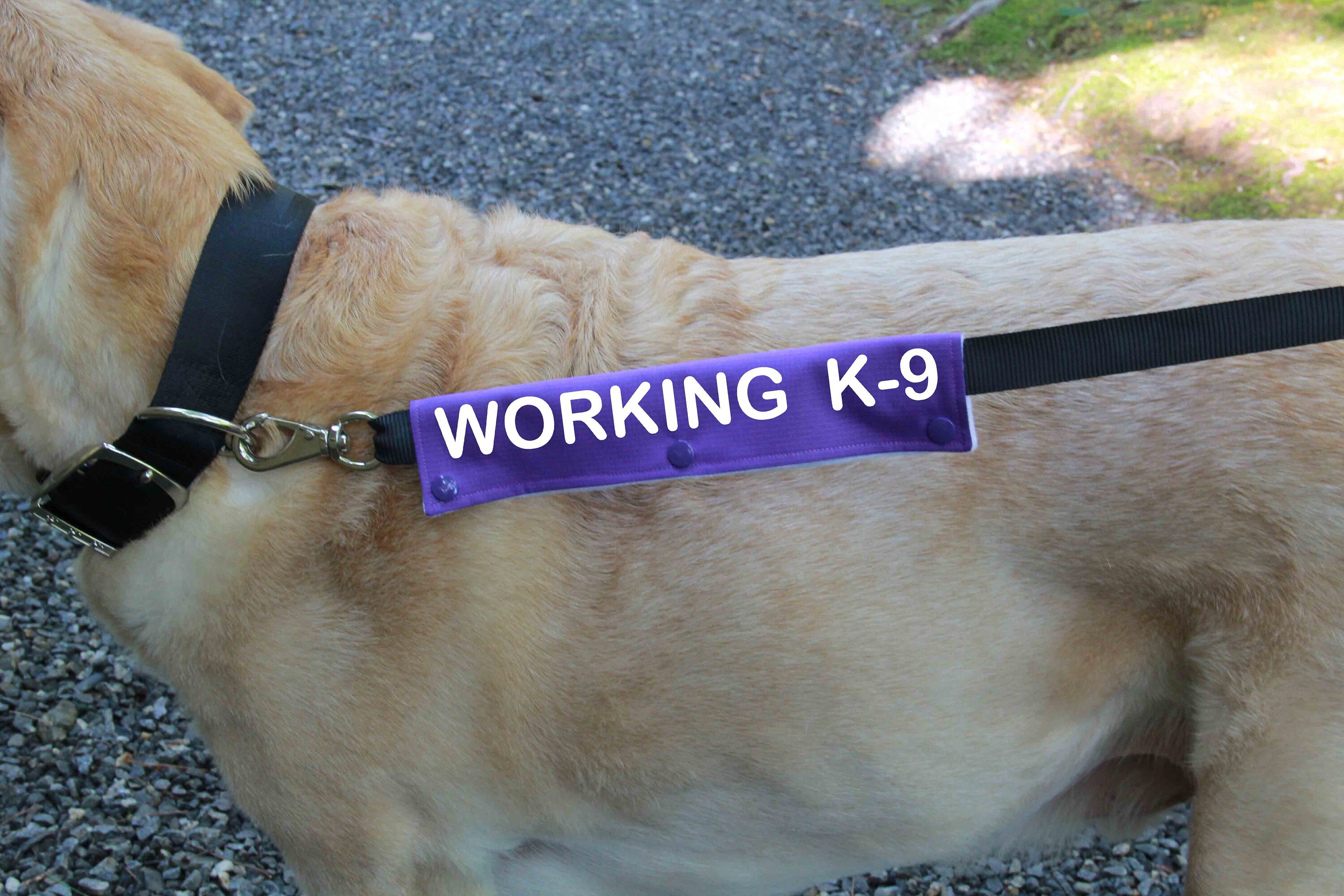 WORKING K9 leash wrap Therapy Dog Gear Therapy Dog Alert Etsy 日本