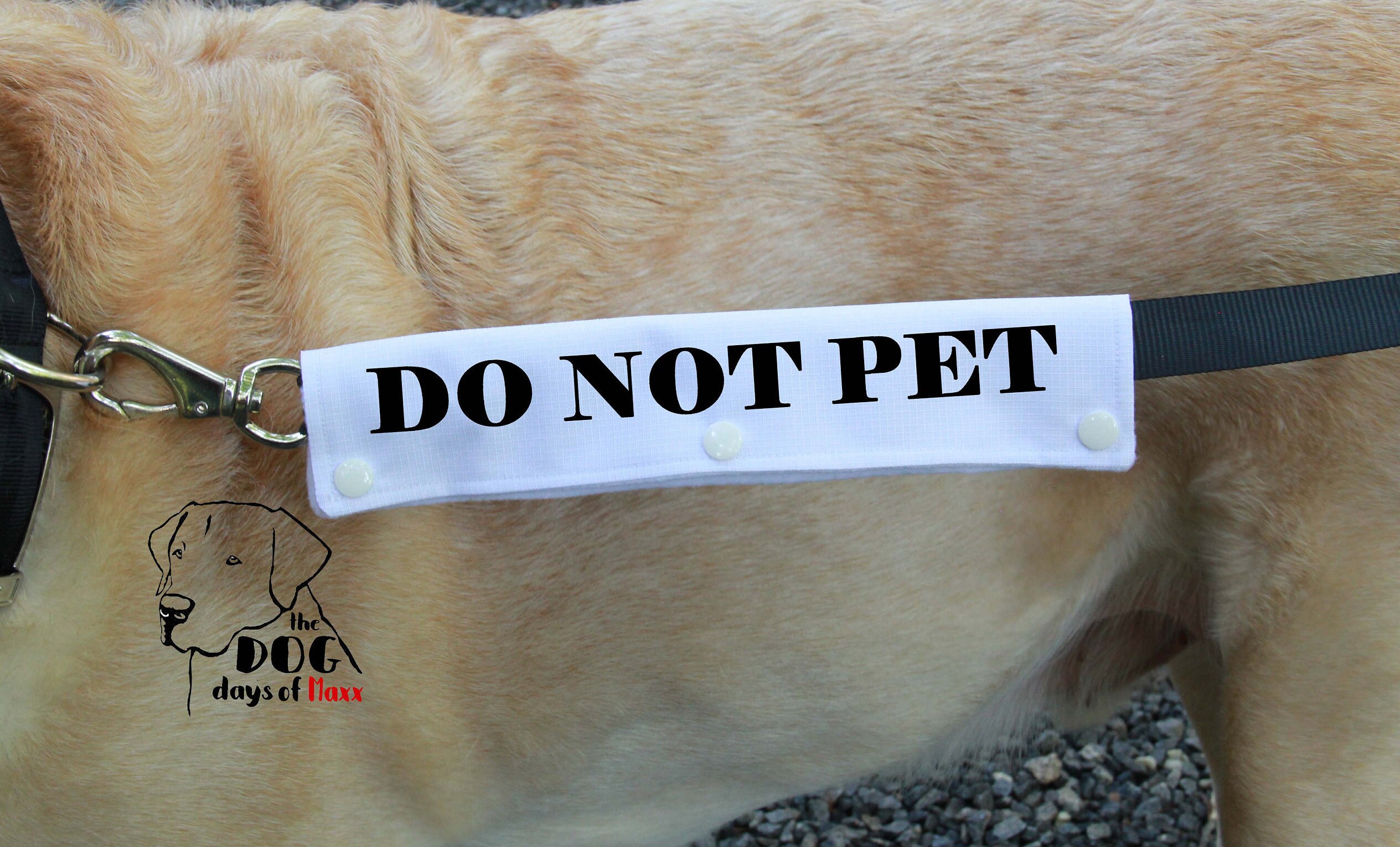 Dog Leash Sleeve DO NOT PET Leash Wrap 4 Size Options Do Etsy Hong Kong