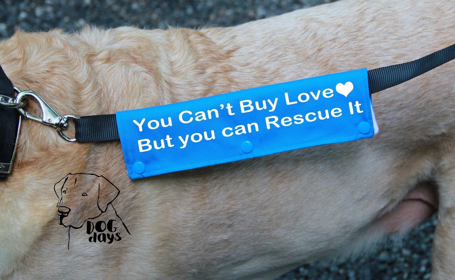 Rescue Me Dog Leash Wrap Adopt Me Leash Cover Classic Size Etsy