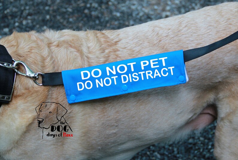 Dog Leash Wrap Leash sleeve Do not pet Do not Distract Etsy
