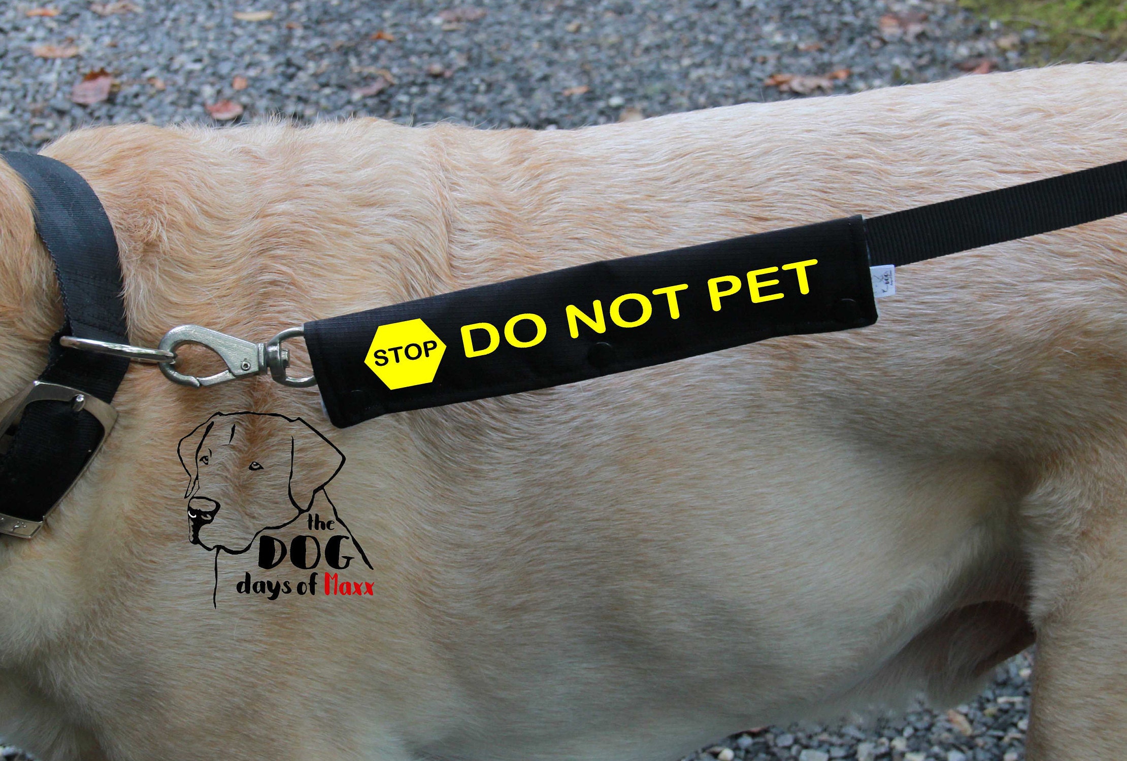 Dog Leash Sleeve DO NOT PET leash wrap Slim Size Fits Etsy