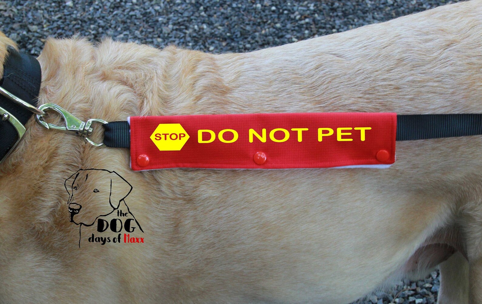 Dog Leash Sleeve DO NOT PET Leash Wrap Stop Do Not Pet Etsy