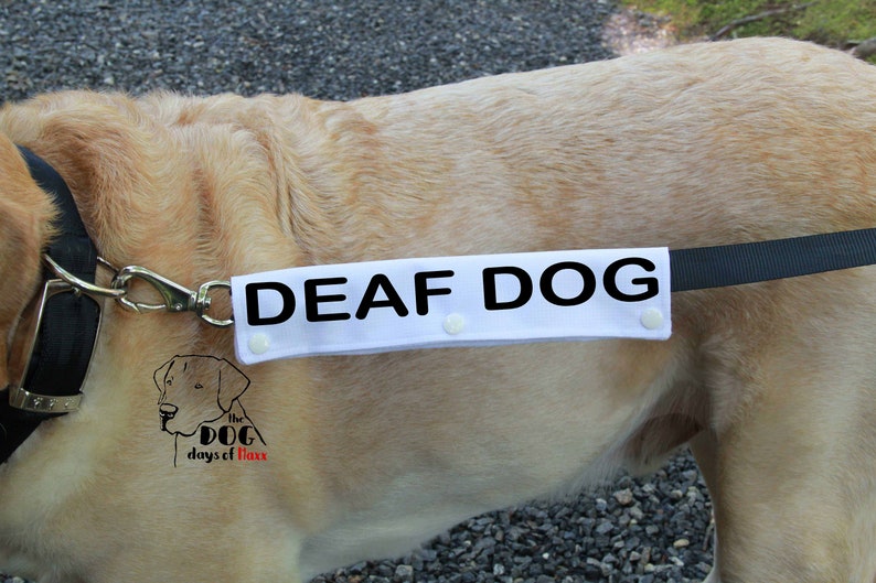 DEAF DOG Leash Wrap Dog Leash Sleeve Leash Wrap Deaf Dog Etsy
