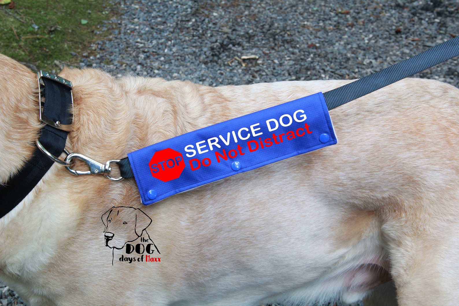 Service Dog Leash Wrap Leash Sleeve Service Dog Gear Multi - Etsy
