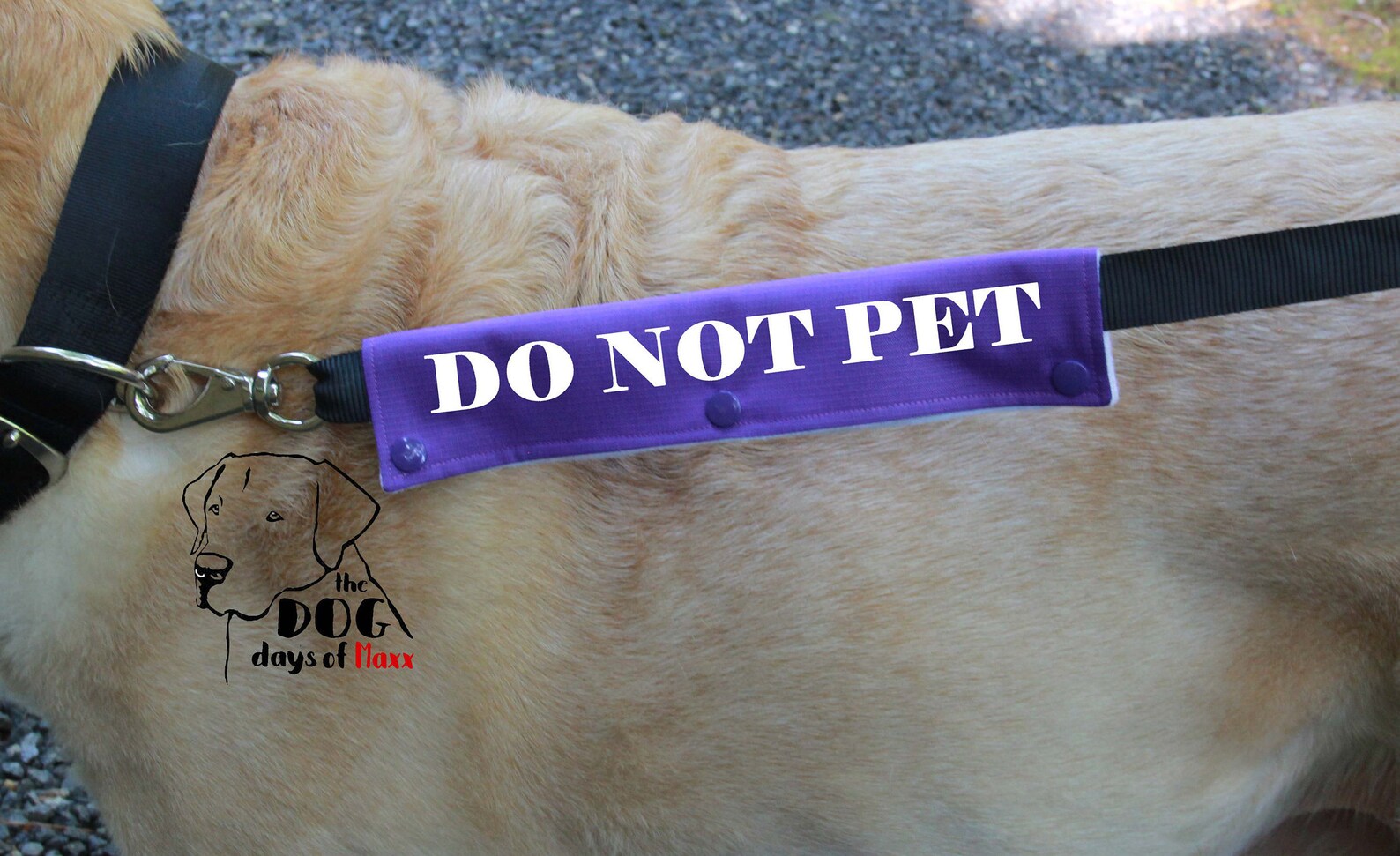 Dog Leash Sleeve DO NOT PET leash wrap 3 Size Options Do Etsy