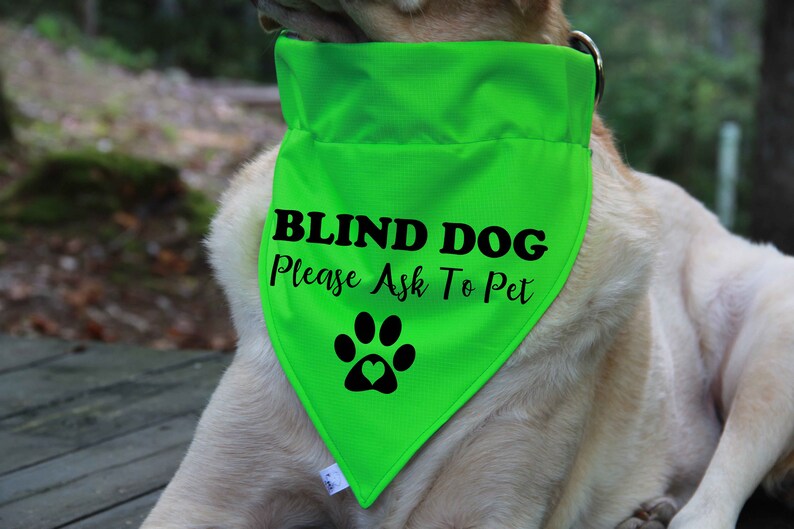 Blind Dog Bandana Over the Collar Bandana Blind Dog Etsy