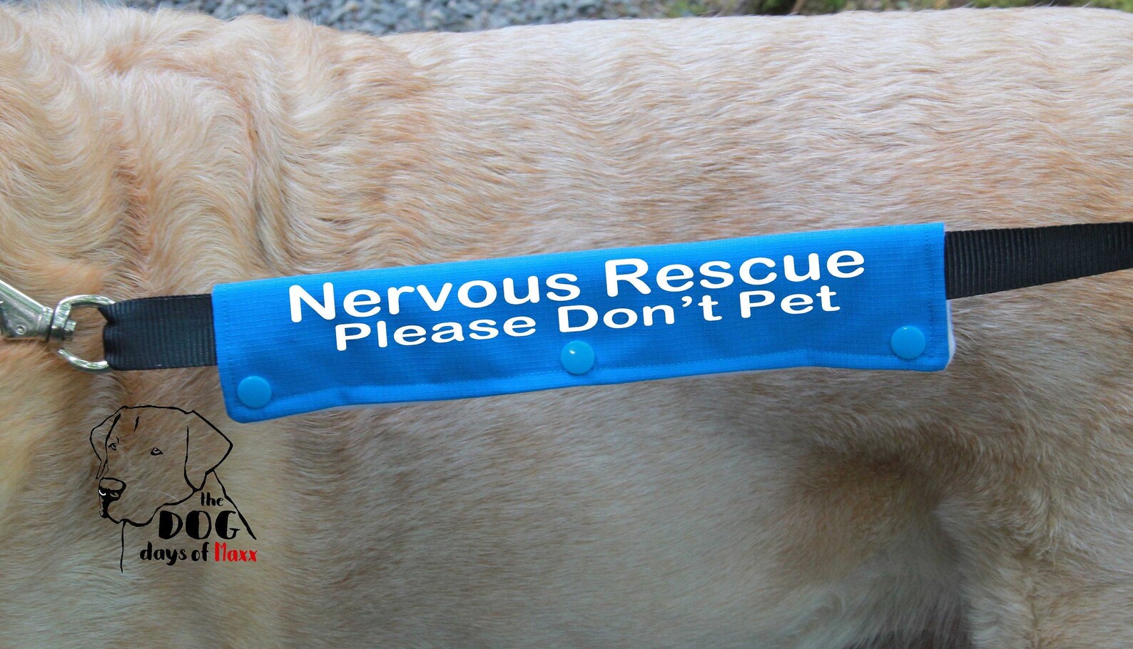 Dog Leash Sleeve Nervous Rescue leash wrap Slim Size Fits Etsy