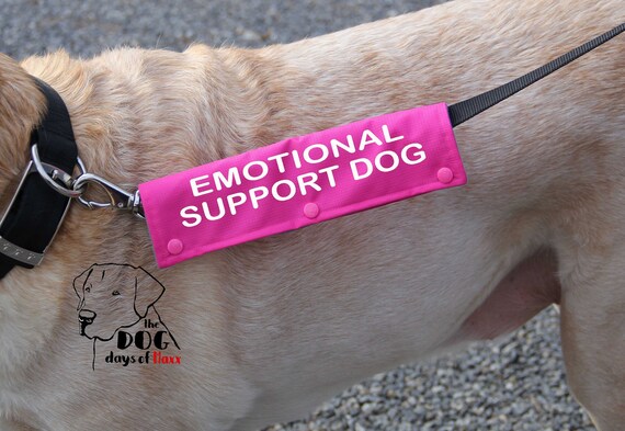 support dog leash