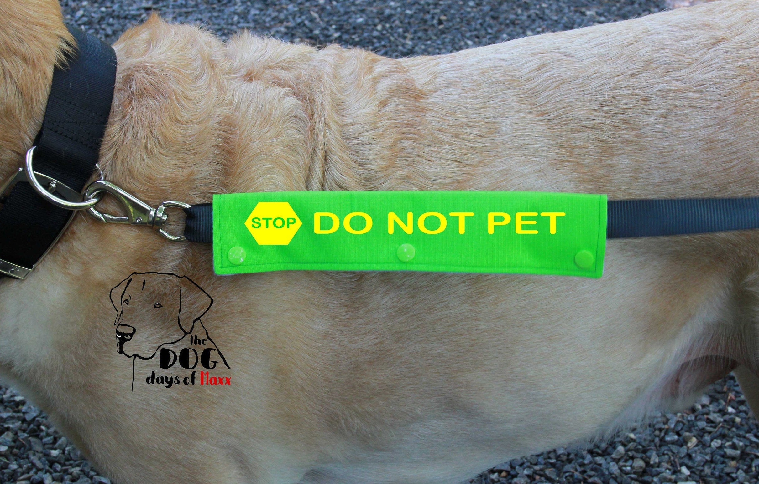 Dog Leash Sleeve DO NOT PET leash wrap Slim Size Fits Etsy