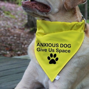 Over the Collar Anxious Dog Bandana |CANVAS FABRIC