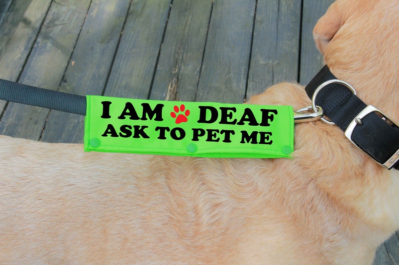 Leash Sleeve Collar Wrap Deaf Dog Leash Wrap Leash Wrap I Etsy