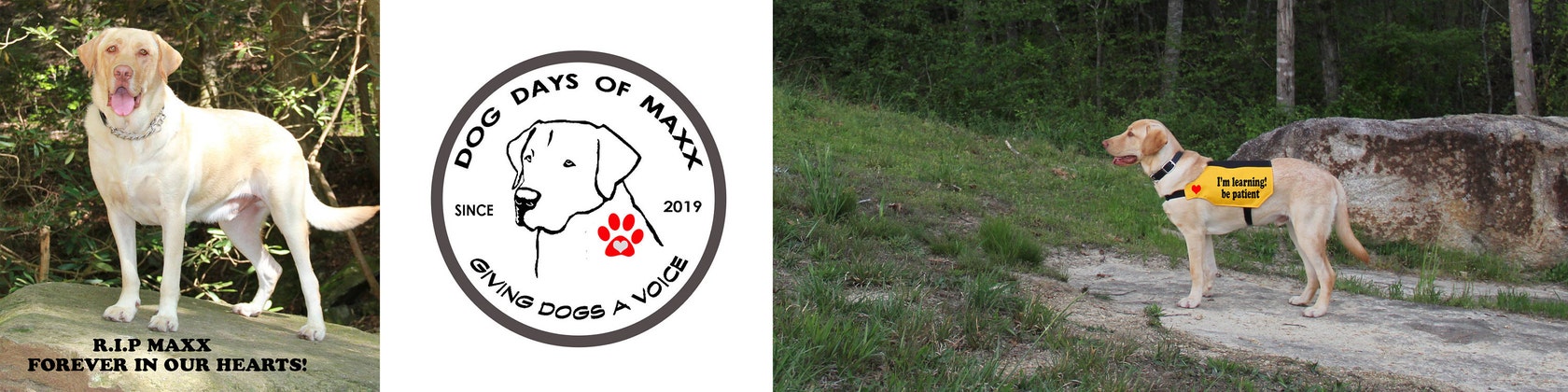 DogDaysofMaxx - Etsy