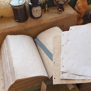 May include: A collection of items on a wooden surface, including a large open book with aged pages, a jar labeled "Pine Needles", and a bottle labeled "Love Potion". A pentagram-shaped object and a small statue are also visible.