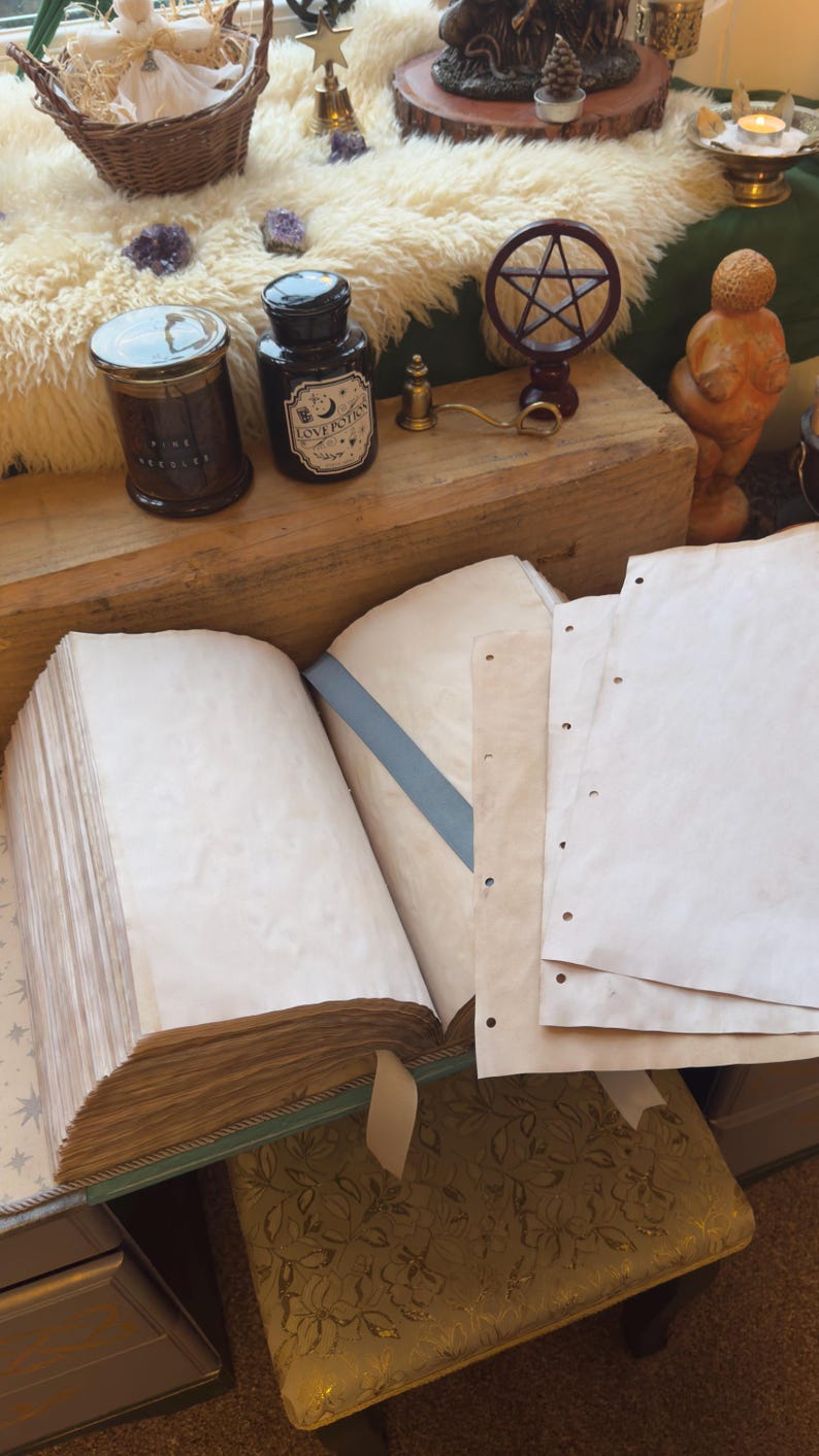 May include: A collection of items on a wooden surface, including a large open book with aged pages, a jar labeled "Pine Needles", and a bottle labeled "Love Potion". A pentagram-shaped object and a small statue are also visible.