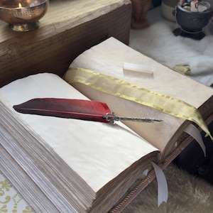 May include: An open book with aged, blank pages and a decorative red feather quill. The book has a gold ribbon and a pink and gold patterned cover. The scene is set on a fluffy white rug.