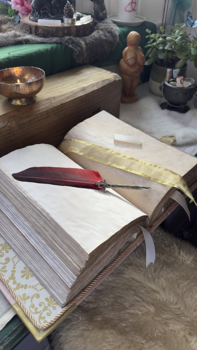 May include: An open book with aged, blank pages and a decorative red feather quill. The book has a gold ribbon and a pink and gold patterned cover. The scene is set on a fluffy white rug.